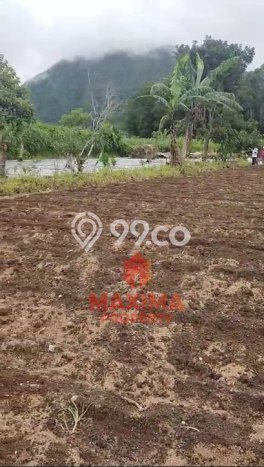 Untuk Dijual Tanah 4000m2 di Kopeng, Salatiga Untuk Dijual Tanah 4000m2 di Kopeng, Salatiga
