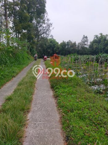 Tanah Dijual di Salatiga Seluas 5547m2 Strategis Tanah Dijual di Salatiga Seluas 5547m2 Strategis