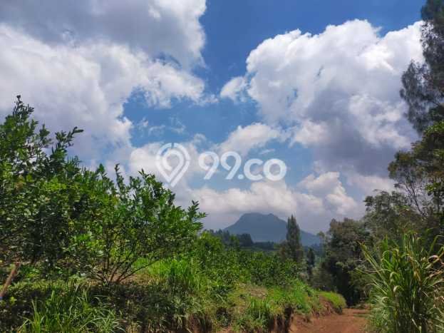 Dijual Tanah Lokasi Kopeng, Salatiga Seluas 1500m2 Dijual Tanah Lokasi Kopeng, Salatiga Seluas 1500m2