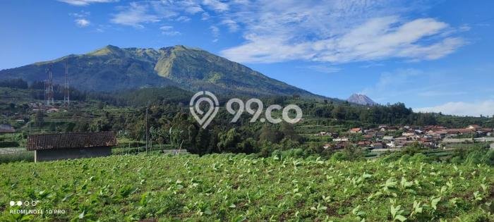 Tanah di Kopeng, Luas 750m², Lokasi Potensial, Kawasan Asri, Kontur Datar Tanah di Kopeng, Luas 750m², Lokasi Potensial, Kawasan Asri, Kontur Datar