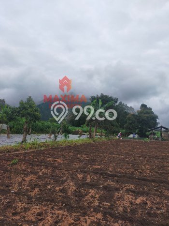 Untuk Dijual Tanah 4000m2 di Kopeng, Salatiga Untuk Dijual Tanah 4000m2 di Kopeng, Salatiga