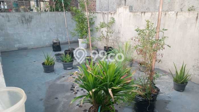 Siap Huni Rumah Minimalis & Modern LB 70m2 di Sendangmulyo Siap Huni Rumah Minimalis & Modern LB 70m2 di Sendangmulyo
