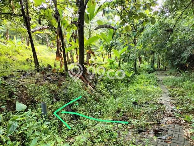 Tanah Dijual Lokasi Gunung Pati, Semarang Luas 606m2 Legalitas Aman Tanah Dijual Lokasi Gunung Pati, Semarang Luas 606m2 Legalitas Aman