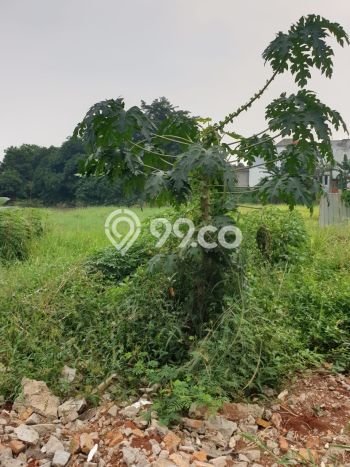 Tanah Dijual di Bekasi Seluas 2000m2 Strategis Tanah Dijual di Bekasi Seluas 2000m2 Strategis