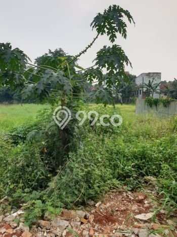 Tanah Dijual di Bekasi Seluas 2000m2 Strategis Tanah Dijual di Bekasi Seluas 2000m2 Strategis