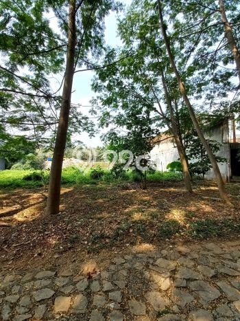 Tanah Kavling Dijual di Jakarta Selatan dengan Spesifikasi 281m2 Tanah Kavling Dijual di Jakarta Selatan dengan Spesifikasi 281m2