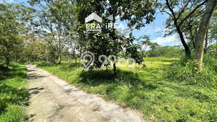 Lahan Kosong Dijual di Mojosongo, Boyolali, Luas 4270m2 Area Strategis Lahan Kosong Dijual di Mojosongo, Boyolali, Luas 4270m2 Area Strategis