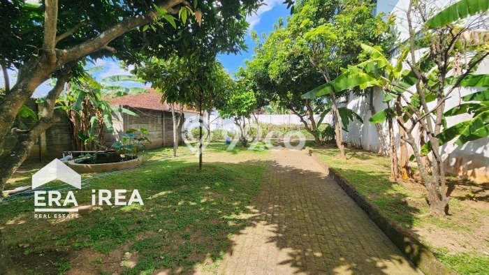FOR SALE! Gudang di Banyudono Boyolali, LT 2799m2, LB 1300m2 FOR SALE! Gudang di Banyudono Boyolali, LT 2799m2, LB 1300m2