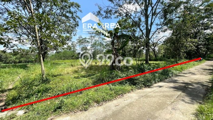 Lahan Kosong Dijual di Mojosongo, Boyolali, Luas 4270m2 Area Strategis Lahan Kosong Dijual di Mojosongo, Boyolali, Luas 4270m2 Area Strategis
