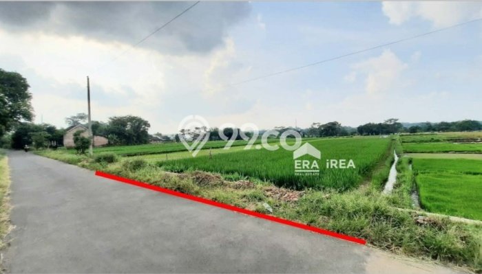 HARGA MENARIK! Tanah Kawasan Teras, Luas 1226m², Kawasan Potensial, Bebas Banjir HARGA MENARIK! Tanah Kawasan Teras, Luas 1226m², Kawasan Potensial, Bebas Banjir