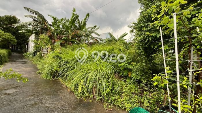 Lahan Kosong Dijual di Solo dengan Area 569m2 Lahan Kosong Dijual di Solo dengan Area 569m2