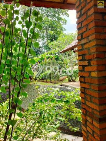 Hunian Mewah Siap Huni LT 1000m2 di Jagakarsa, Jakarta Selatan Hunian Mewah Siap Huni LT 1000m2 di Jagakarsa, Jakarta Selatan