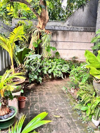 Rumah Murah di Tangerang Selatan Dekat Sekolah Rumah Murah di Tangerang Selatan Dekat Sekolah