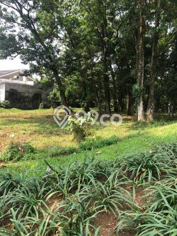 Dijual Tanah di Babakan Madang Bogor Luas 1643m2 SHM Dijual Tanah di Babakan Madang Bogor Luas 1643m2 SHM