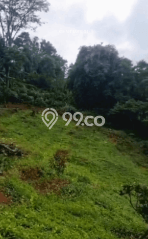 Tanah Dijual Lokasi Cangkuang, Bandung Luas 5000m2 Legalitas Aman Tanah Dijual Lokasi Cangkuang, Bandung Luas 5000m2 Legalitas Aman