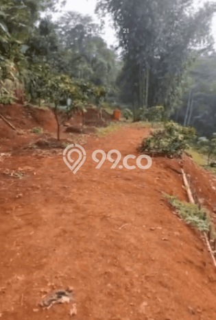 Tanah Dijual Lokasi Cangkuang, Bandung Luas 5000m2 Legalitas Aman Tanah Dijual Lokasi Cangkuang, Bandung Luas 5000m2 Legalitas Aman