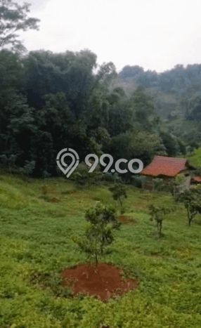 Tanah Dijual Lokasi Cangkuang, Bandung Luas 5000m2 Legalitas Aman Tanah Dijual Lokasi Cangkuang, Bandung Luas 5000m2 Legalitas Aman