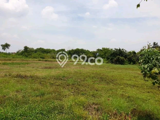 Tanah Kosong Disewakan di Beji, Pasuruan, Luas 10000m2 Tanah Kosong Disewakan di Beji, Pasuruan, Luas 10000m2