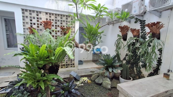 Rumah Luxury Modern Tanpa Renovasi di Duren Tiga Jakarta Selatan Rumah Luxury Modern Tanpa Renovasi di Duren Tiga Jakarta Selatan