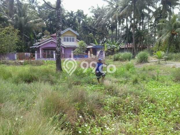 Tanah untuk Dijual di Batang Anai Padang Pariaman Luas 1000m2 Tanah untuk Dijual di Batang Anai Padang Pariaman Luas 1000m2