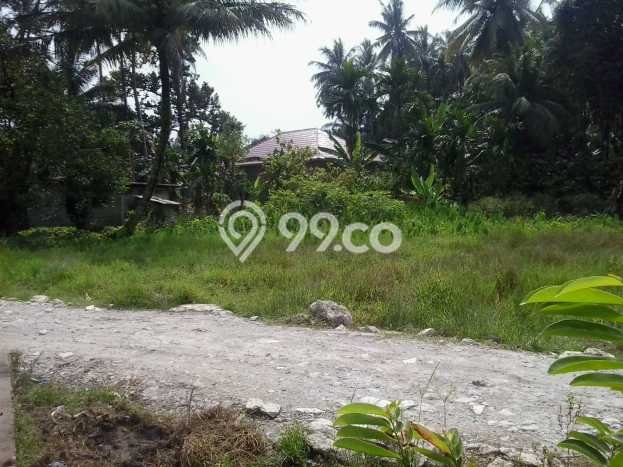 Tanah untuk Dijual di Batang Anai Padang Pariaman Luas 1000m2 Tanah untuk Dijual di Batang Anai Padang Pariaman Luas 1000m2
