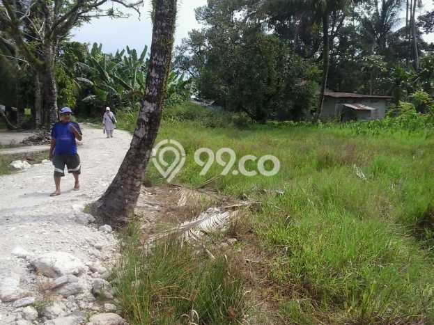 Tanah untuk Dijual di Batang Anai Padang Pariaman Luas 1000m2 Tanah untuk Dijual di Batang Anai Padang Pariaman Luas 1000m2