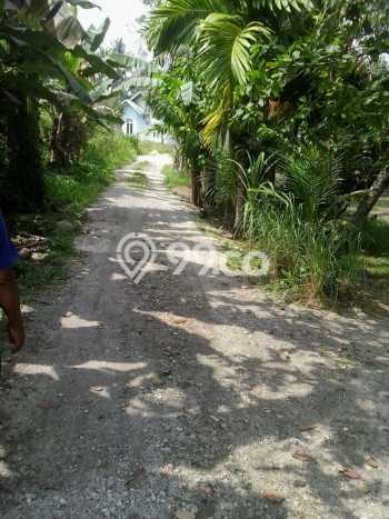 Tanah untuk Dijual di Batang Anai Padang Pariaman Luas 1000m2 Tanah untuk Dijual di Batang Anai Padang Pariaman Luas 1000m2