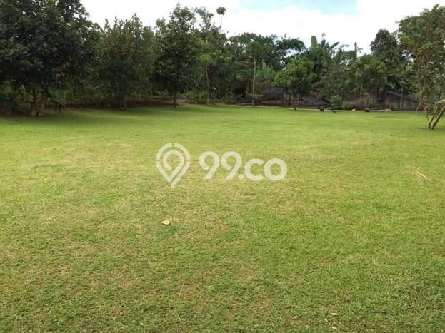 Vila Strategis di Cicurug, Area 6500m2m², Dekat Cicurug, Sukabumi, Sukabumi Vila Strategis di Cicurug, Area 6500m2m², Dekat Cicurug, Sukabumi, Sukabumi