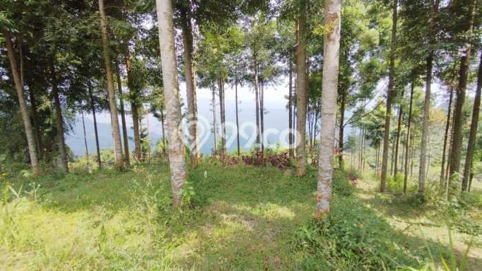 Dijual Tanah di Bogor, Luas 23000m2 Hak Pakai Dijual Tanah di Bogor, Luas 23000m2 Hak Pakai
