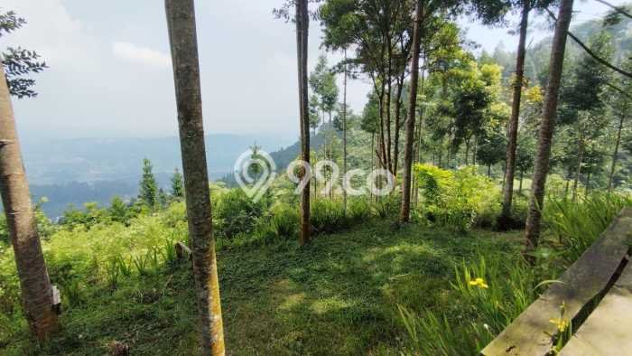 Dijual Tanah di Bogor, Luas 23000m2 Hak Pakai Dijual Tanah di Bogor, Luas 23000m2 Hak Pakai