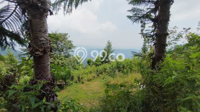 Dijual Tanah di Bogor, Luas 23000m2 Hak Pakai Dijual Tanah di Bogor, Luas 23000m2 Hak Pakai