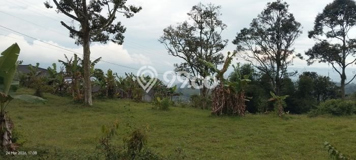 Tanah Kavling untuk Dijual di Cicurug Sukabumi 15000m2 Tanah Kavling untuk Dijual di Cicurug Sukabumi 15000m2