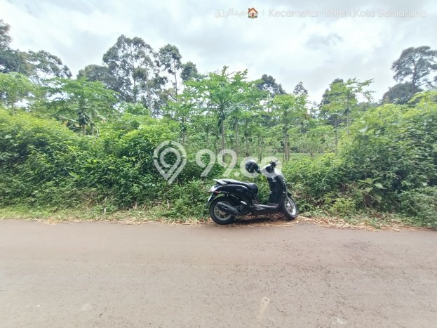 Tanah Dijual Lokasi Mijen, Semarang Luas 2100m2 Legalitas Aman Tanah Dijual Lokasi Mijen, Semarang Luas 2100m2 Legalitas Aman