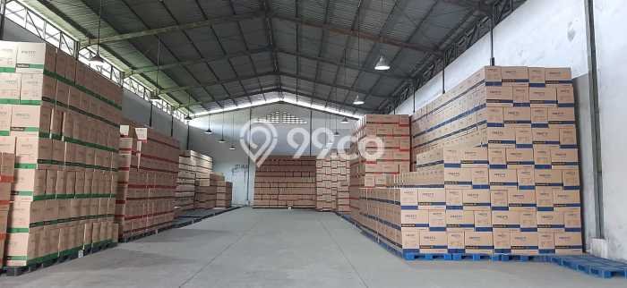 Unit Komersial Disewakan di Jakarta Utara Kawasan Strategis Harga Kompetitif Unit Komersial Disewakan di Jakarta Utara Kawasan Strategis Harga Kompetitif