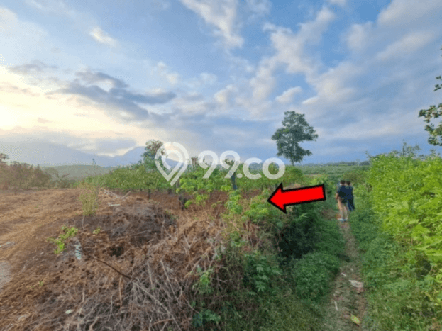 Lahan Kosong Dijual di Malang dengan Area 1308m2 Lahan Kosong Dijual di Malang dengan Area 1308m2