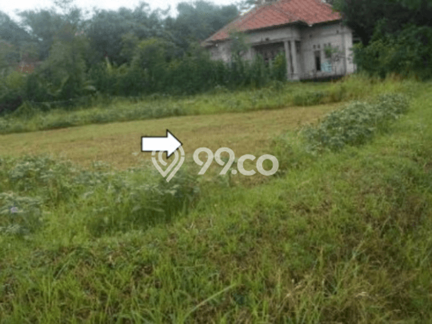 Lahan Kosong Dijual di Tanah Merah, Bangkalan, Luas 639m2 Area Strategis Lahan Kosong Dijual di Tanah Merah, Bangkalan, Luas 639m2 Area Strategis