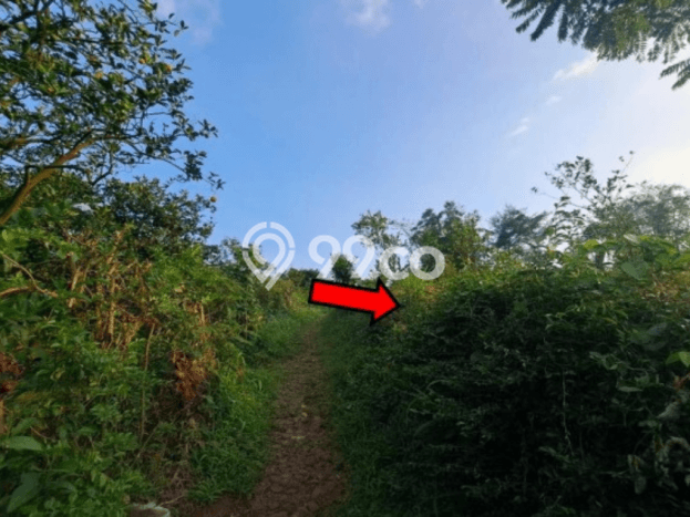Lahan Kosong Dijual di Malang dengan Area 1308m2 Lahan Kosong Dijual di Malang dengan Area 1308m2