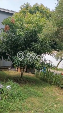 Rumah Minimalis 3 Kamar LT 169m2 di Cibubur Rumah Minimalis 3 Kamar LT 169m2 di Cibubur