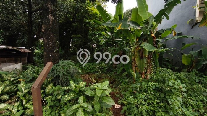 Tanah Dijual Lokasi Ciputat, Tangerang Selatan Luas 4265m2 Legalitas Aman Tanah Dijual Lokasi Ciputat, Tangerang Selatan Luas 4265m2 Legalitas Aman