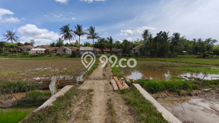 Kavling Tanah Dijual di Pamarayan, Serang, Luas 14779m2 Area Strategis Kavling Tanah Dijual di Pamarayan, Serang, Luas 14779m2 Area Strategis