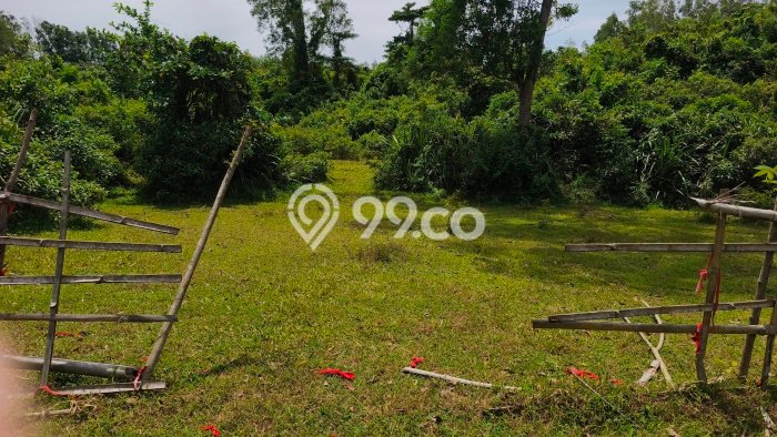 Kavling Tanah Dijual di Pamarayan, Serang, Luas 14779m2 Area Strategis Kavling Tanah Dijual di Pamarayan, Serang, Luas 14779m2 Area Strategis