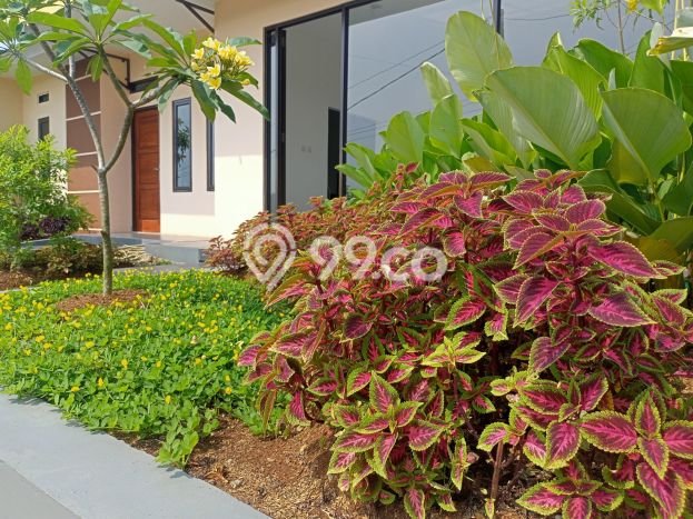 Rumah Minimalis Dijual di Parung Kuda 2 Kamar dengan LT 60m2 Rumah Minimalis Dijual di Parung Kuda 2 Kamar dengan LT 60m2