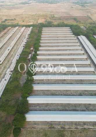 AREA PROSPEKTIF! Tanah Kawasan Pabuaran, Luas 540000m2m², Akses Fasilitas Umum AREA PROSPEKTIF! Tanah Kawasan Pabuaran, Luas 540000m2m², Akses Fasilitas Umum