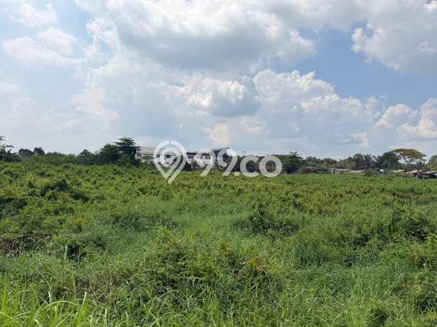 Jarang Ada! Tanah di Sukarame Punya Luas 12170m2 SHM Jarang Ada! Tanah di Sukarame Punya Luas 12170m2 SHM