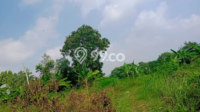 Untuk Dijual Tanah di Palembang, Luas 3000m2 SHM Untuk Dijual Tanah di Palembang, Luas 3000m2 SHM