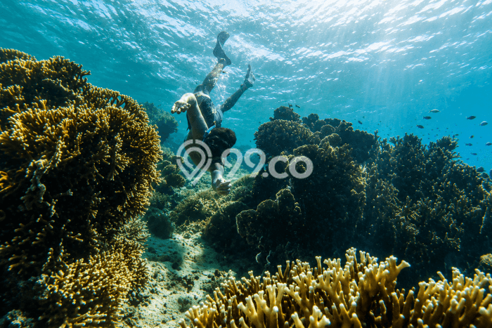 Dijual Tanah Lokasi Gili Asahan, Lombok Barat Seluas 390270m2 Dijual Tanah Lokasi Gili Asahan, Lombok Barat Seluas 390270m2