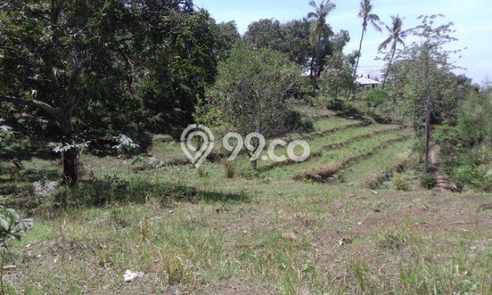 L32 Tanah Dijual Dikayuputih, Buleleng L32 Tanah Dijual Dikayuputih, Buleleng