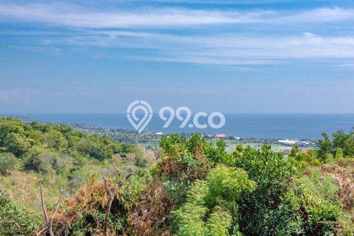 Tanah untuk Dijual Lokasi Temukus, Buleleng Luas 4500m2 SHM Tanah untuk Dijual Lokasi Temukus, Buleleng Luas 4500m2 SHM