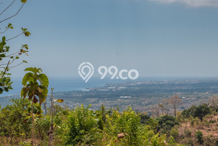 Dijual Tanah 4000m2 di Kaliasem, Buleleng Dijual Tanah 4000m2 di Kaliasem, Buleleng
