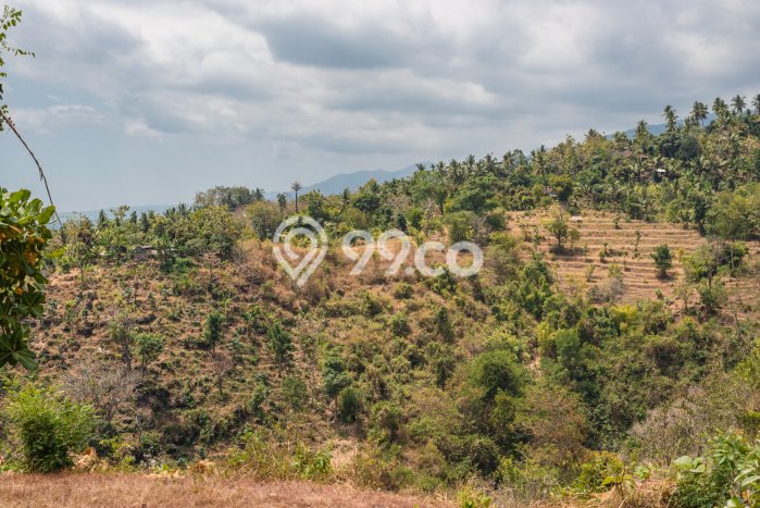 Dijual Tanah 4000m2 di Kaliasem, Buleleng Dijual Tanah 4000m2 di Kaliasem, Buleleng